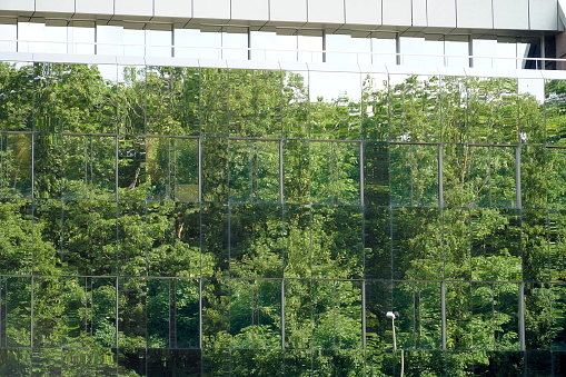 A cutout of a  modern building with a glass facade. There are trees reflecting in the facade making impression or illusion of green space or area in a business district.