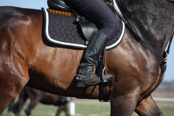 istock Close up of rider leg with spur 1286903349