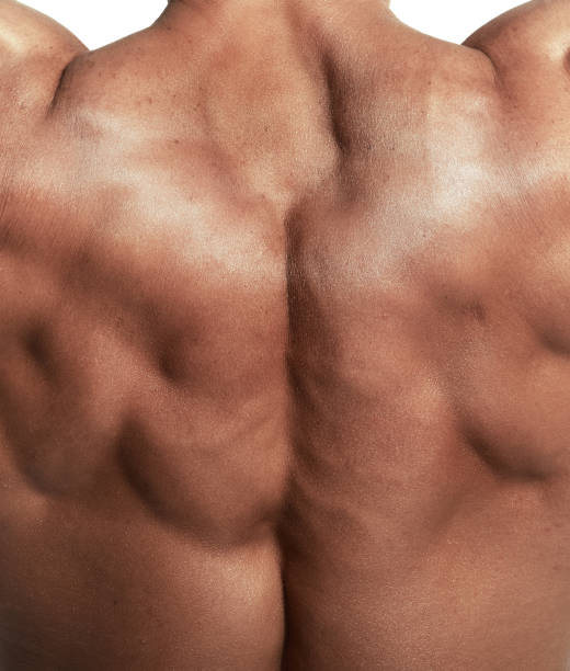 istock Muscular torso of bodybuilder 1286903416