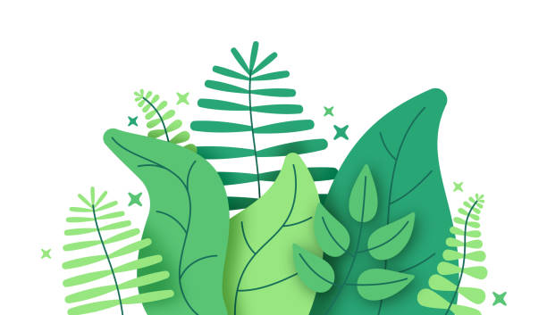 illustrations, cliparts, dessins animés et icônes de plantes de feuillage de jungle - environnement illustrations