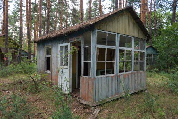 istock Young Pioneer camp Emerald in Chernobyl 1286904405