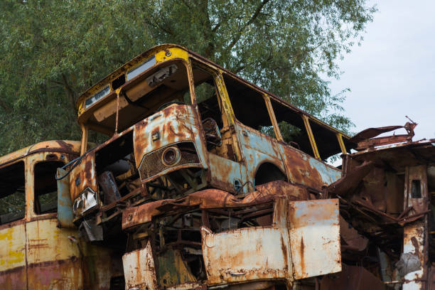 Old abandoned buses, Rossokha radioactive vehicles graveyard in Chernobyl, summer season in exclusion Zone, Ukraine