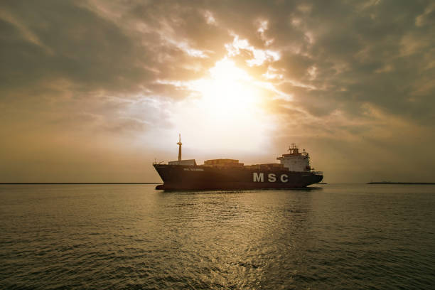 Aerial view of container ship MSC approaching international port in Turkey. December 22, 2019