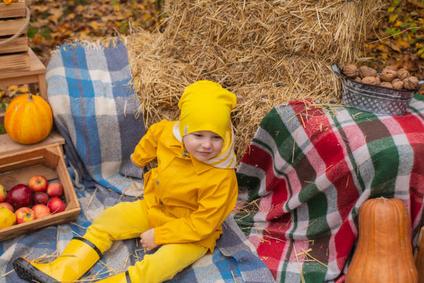 lindo hermoso niño prescholer en un pantalón naranja, impermeable, sombrero, botas de goma cerca de la zona de fotos de decoraciones de otoño - calabazas, manzanas, mantas, heno. intimidad - macintosh apples fotos fotografías e imágenes de stock