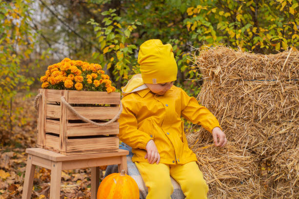 lindo hermoso niño prescholer en un pantalón naranja, impermeable, sombrero, botas de goma cerca de la zona de fotos de decoraciones de otoño - calabazas, manzanas, mantas, heno. intimidad - macintosh apples fotos fotografías e imágenes de stock