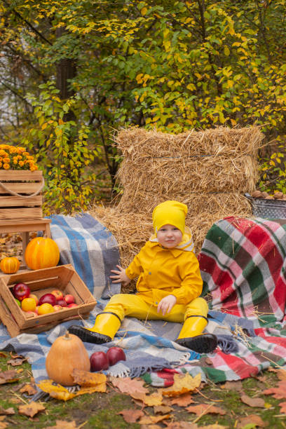 lindo hermoso niño prescholer en un pantalón naranja, impermeable, sombrero, botas de goma cerca de la zona de fotos de decoraciones de otoño - calabazas, manzanas, mantas, heno. intimidad - macintosh apples fotos fotografías e imágenes de stock