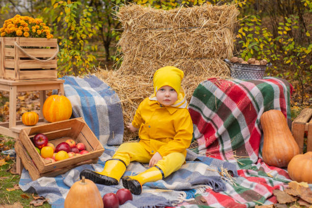 lindo hermoso niño prescholer en un pantalón naranja, impermeable, sombrero, botas de goma cerca de la zona de fotos de decoraciones de otoño - calabazas, manzanas, mantas, heno. intimidad - macintosh apples fotos fotografías e imágenes de stock