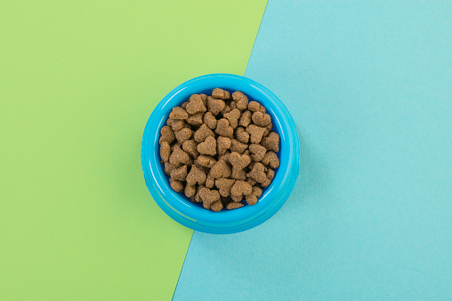 Blue round feeding bowl with dark brown heart shaped pet kibble on a blue and soft green background