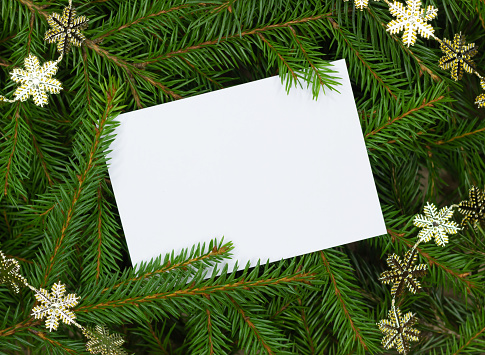 Christmas card on a background of fir branches and a garland of golden snowflakes. Flat lay. Nature New Year concept. Top view.