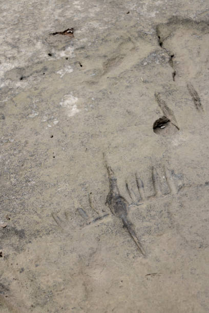 istock Indigenous stone engraving of a bird 1286918472