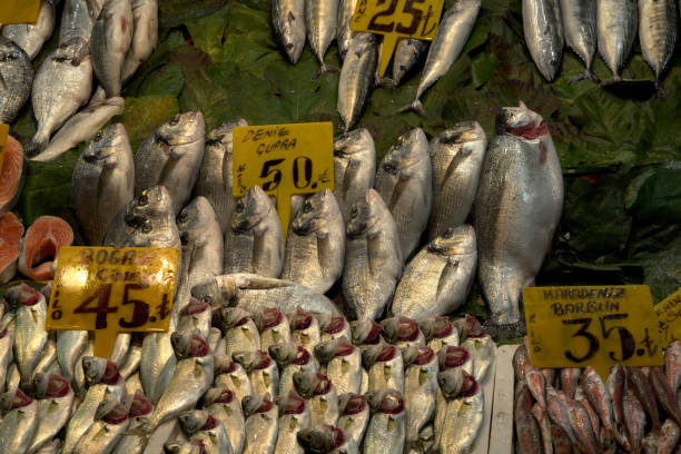 istock fish season fishes on the bench 1286918758