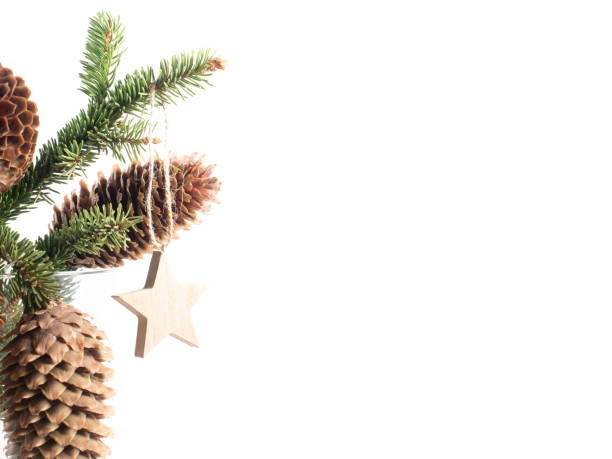 A bouquet of fir branches with cones and star decoration isolated on white background. Christmas and New Year gifts. Copy space