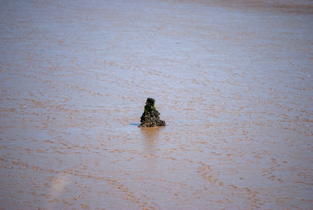 Desert's Advance in Anatolia