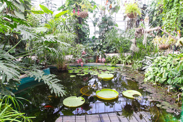 istock Beautiful plants in botanical garden 1286927005