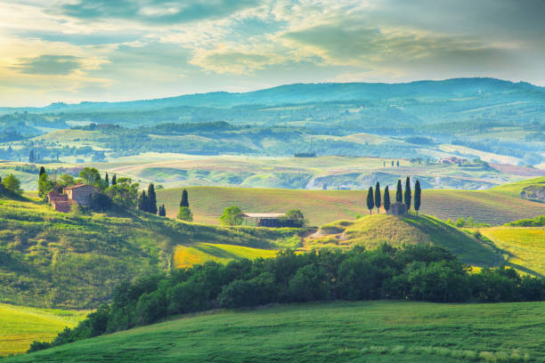 istock Landscape in Tuscany with cypress trees 1286927765