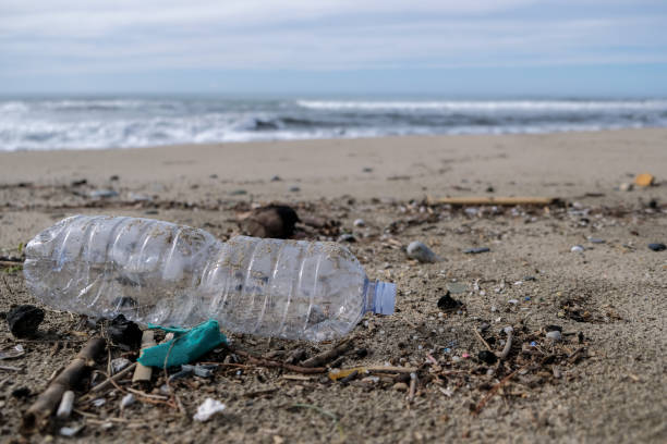 istock Plastic bottle on sea coast, pollution free ecosystem planet save concept 1286931229