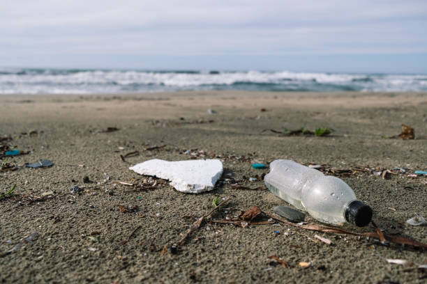 istock Plastic bottle on wild sea coast over blurred waves background,planet save 1286931631