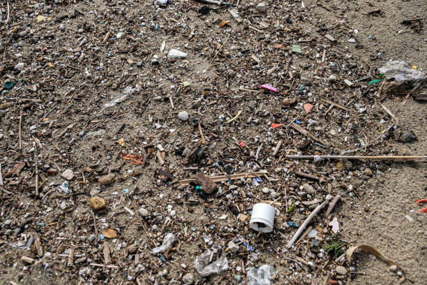 istock Micro plastic sea coast pollution, plastics free ecosystem planet save concept 1286932851