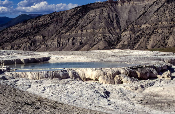 In Yellowstone National Park, Mammoth Hot Springs, the petrified waterfalls, are one of the most prized natural wonders.
