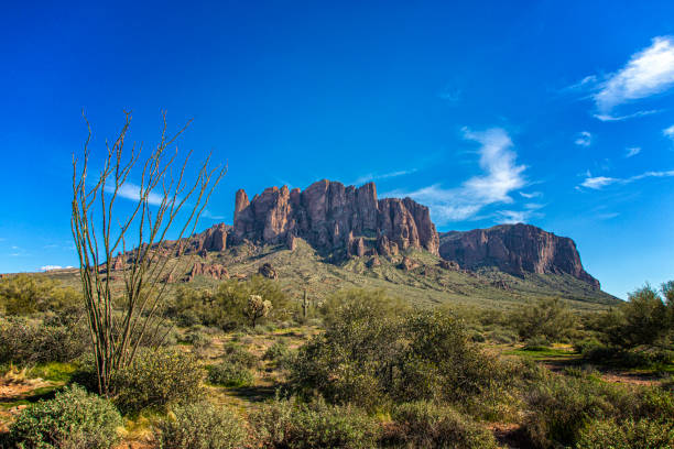 istock Mountain and Cactus in Lost Dutchman State Park 1286939952