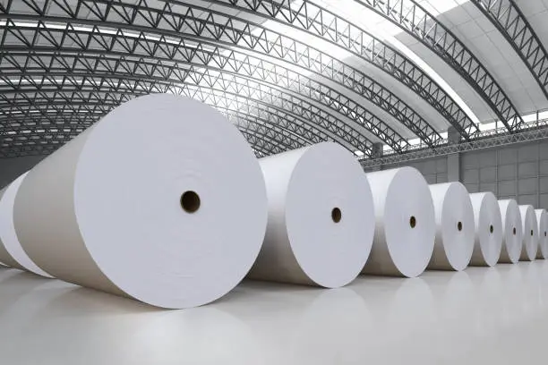 Photo of white paper rolls