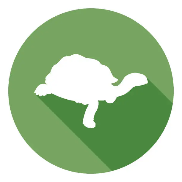 Vector illustration of Tortoise Icon