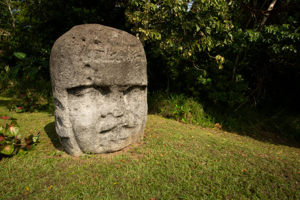 La Venta, Mexico Daytime ground level view of an ancient carved basalt Olmec Colossal head. olmec head stock pictures, royalty-free photos & images