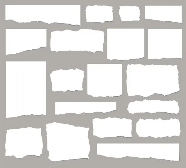 Vector illustration of Satz von länglich zerrissenen Papierfragmenten isoliert auf weißem Hintergrund