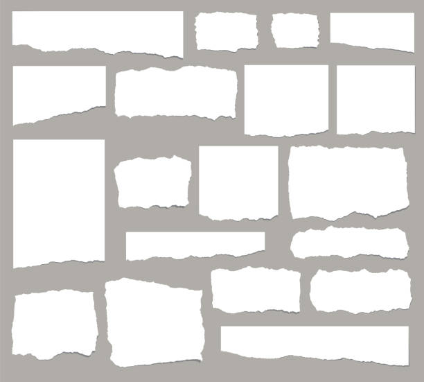 ilustraciones, imágenes clip art, dibujos animados e iconos de stock de conjunto de fragmentos de papel desgarrados alargados aislados sobre fondo blanco - torn paper