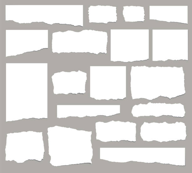 zestaw wydłużonych rozdartych fragmentów papieru izolowanych na białym tle - technika grunge ilustracje stock illustrations