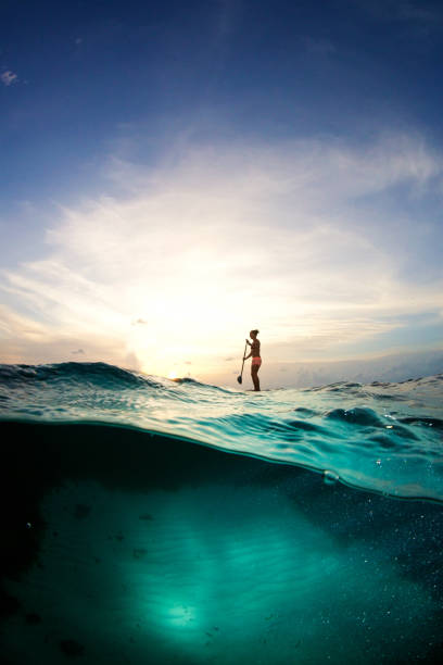 sunset stand up paddle - indian ocean flash fotografías e imágenes de stock