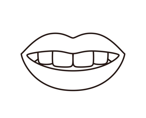 smiling with white teeth, vector illustration smiling with white teeth, vector illustration teeth clipart stock illustrations