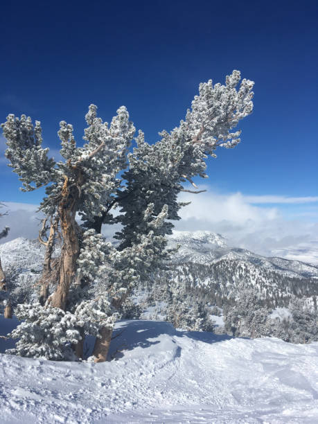 istock Lake Tahoe winter scene mountain 1286985671