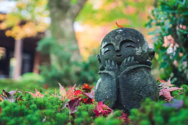 Small jizo buddhist statues in the moss with fallen red maple leaves surrounding.