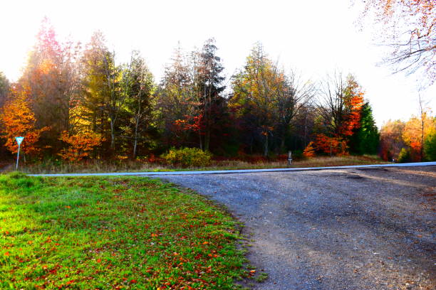 istock end of a dirt road 1286991121