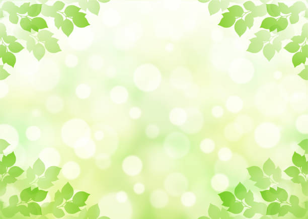 istock Background of fresh green and sunbeams 1286992002