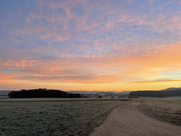 istock Morning walk in winter 1286992694