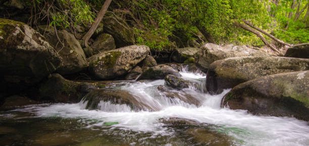 グレートスモーキーマウンテンストリームパノラマ - waterfall great smoky mountains great smoky mountains national park tennessee ストックフォトと画像