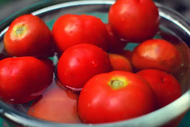Fresh red tomatoes in a bowl of water on a table