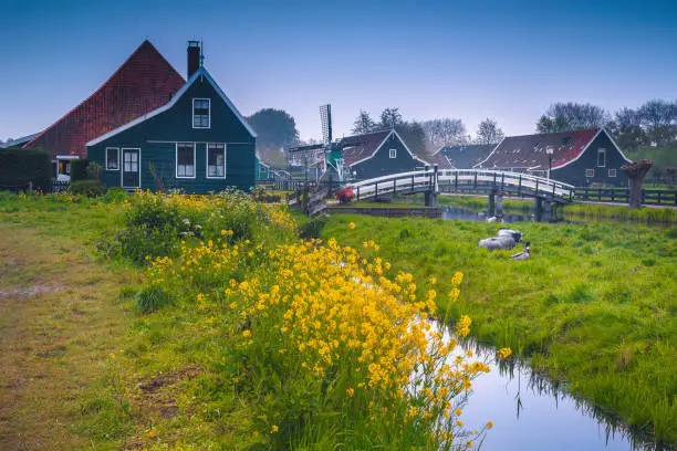 Photo of Beautiful countryside morning landscape and Zaanse Schans village, Netherlands