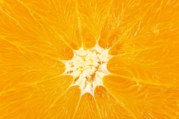 istock Orange texture on white background full depth of field. File contains clipping path. 1287008482