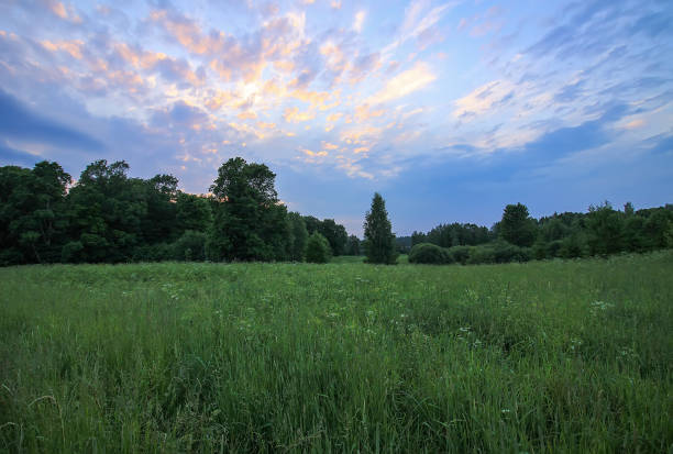 istock Beautiful summer landscape in countryside. 1287009962