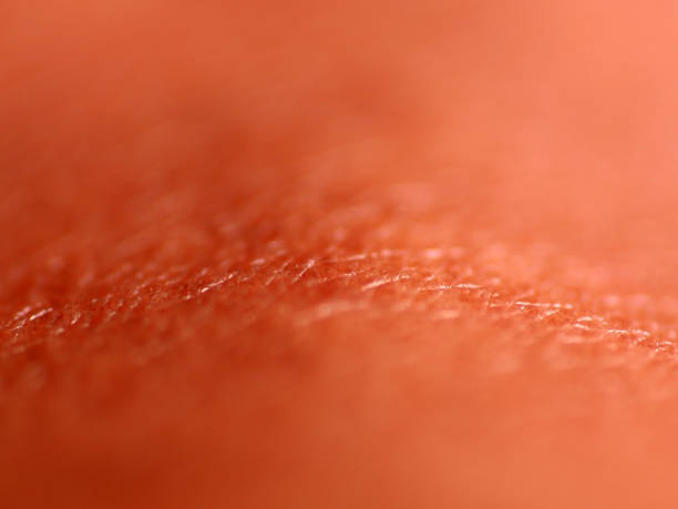 istock Close up shot of human skin surface 1287011550