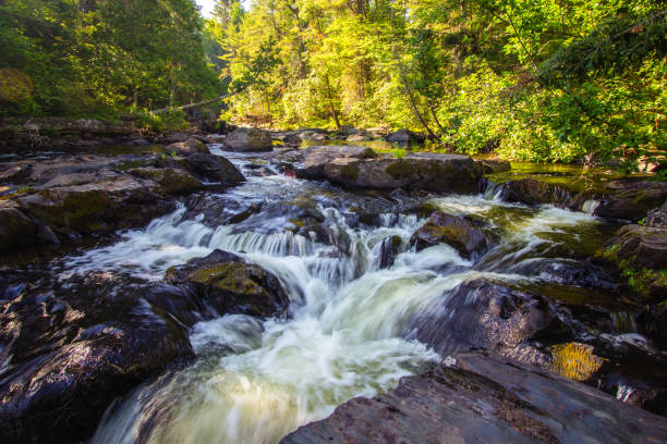istock Waterfall Landscape In Baraga County Michigan 1287014108