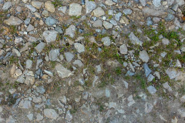 istock gravel lane ground texture 1287014928