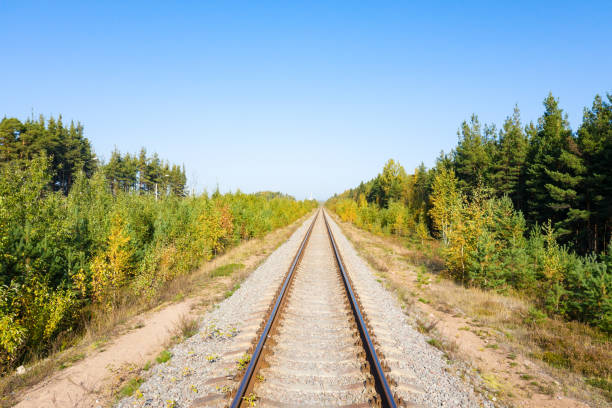 istock Railway through autumn forest. Aerial view 1287015223