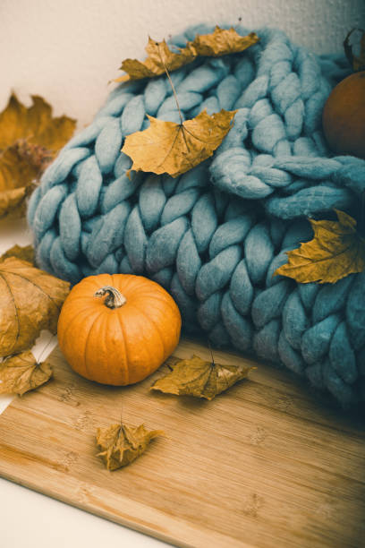 istock Gray woolen merino blanket decorated leaves and pumpkins 1287016285