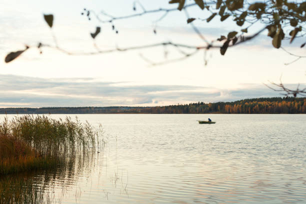 istock Autumn landscape with yellow trees 1287016752
