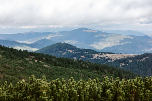 istock Beautiful landscape in the Carpathians 1287018871