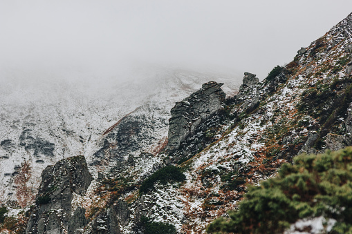 Beautiful snowy rocks in the Carpathian mountains